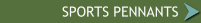SPORTS PENNANTS