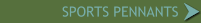 SPORTS PENNANTS
