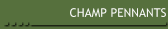 CHAMP PENNANTS